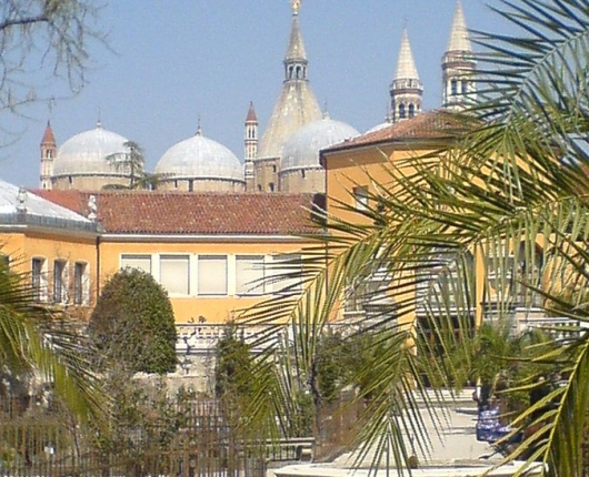 לימודים באיטליה